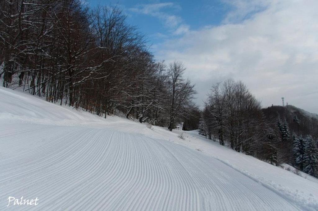 Hotel Smrecina Low Tatras ภายนอก รูปภาพ